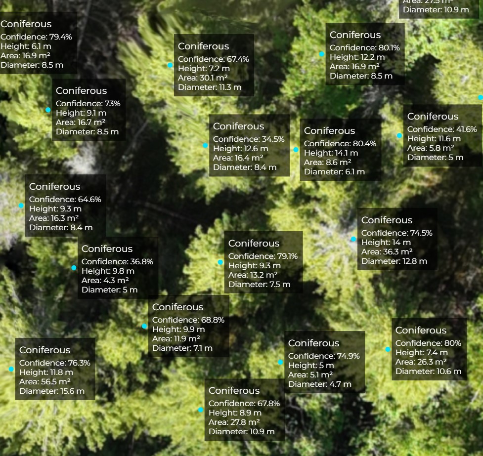 KI-analyse av skog