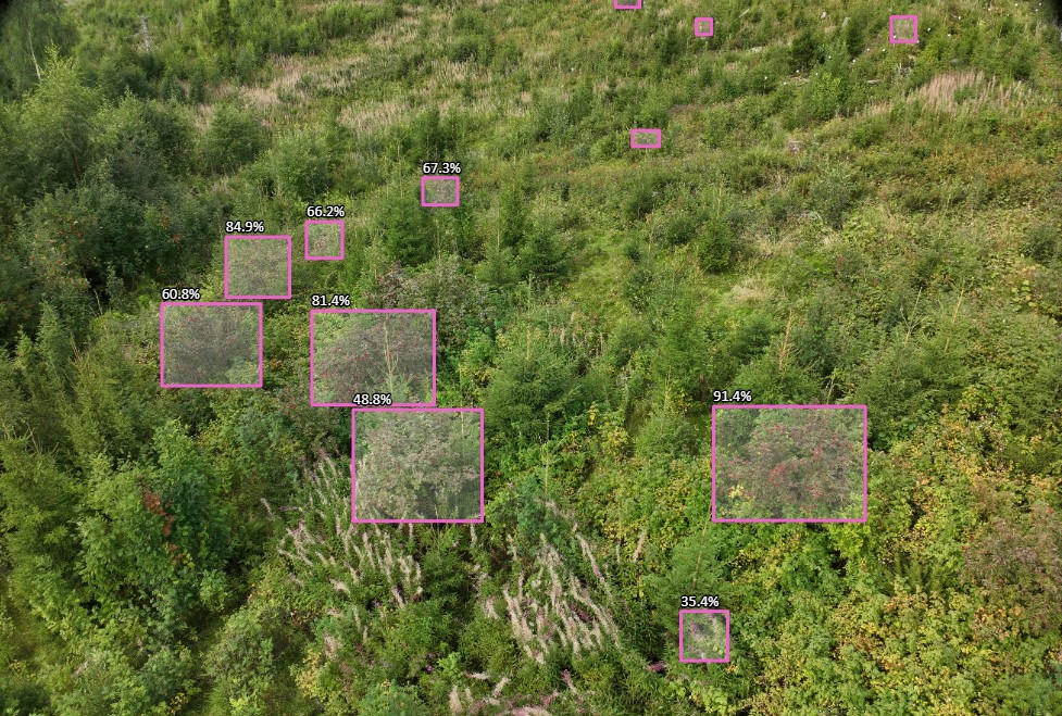 Ki-analyse av forskjellig