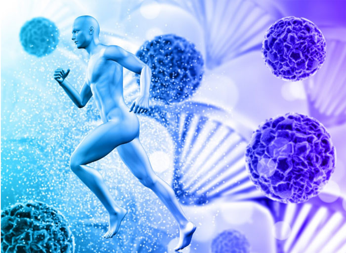 Healthy immune system