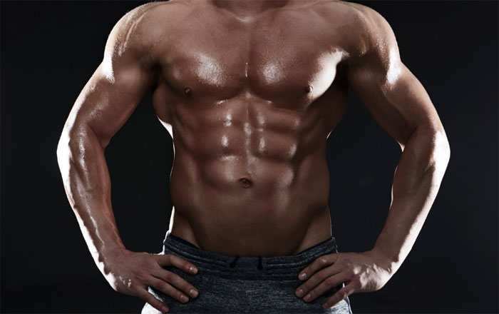 Male muscle support