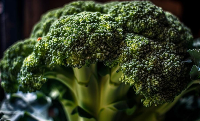 The benefits of broccoli