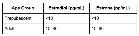 Types of Estrogen: Estrone vs. Estradiol