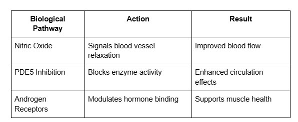 Key Biological Mechanisms