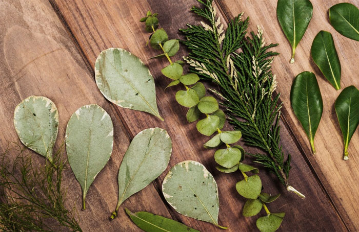 Raw leaves