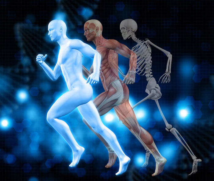 Strong bones