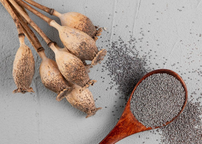  How Psyllium Husk works