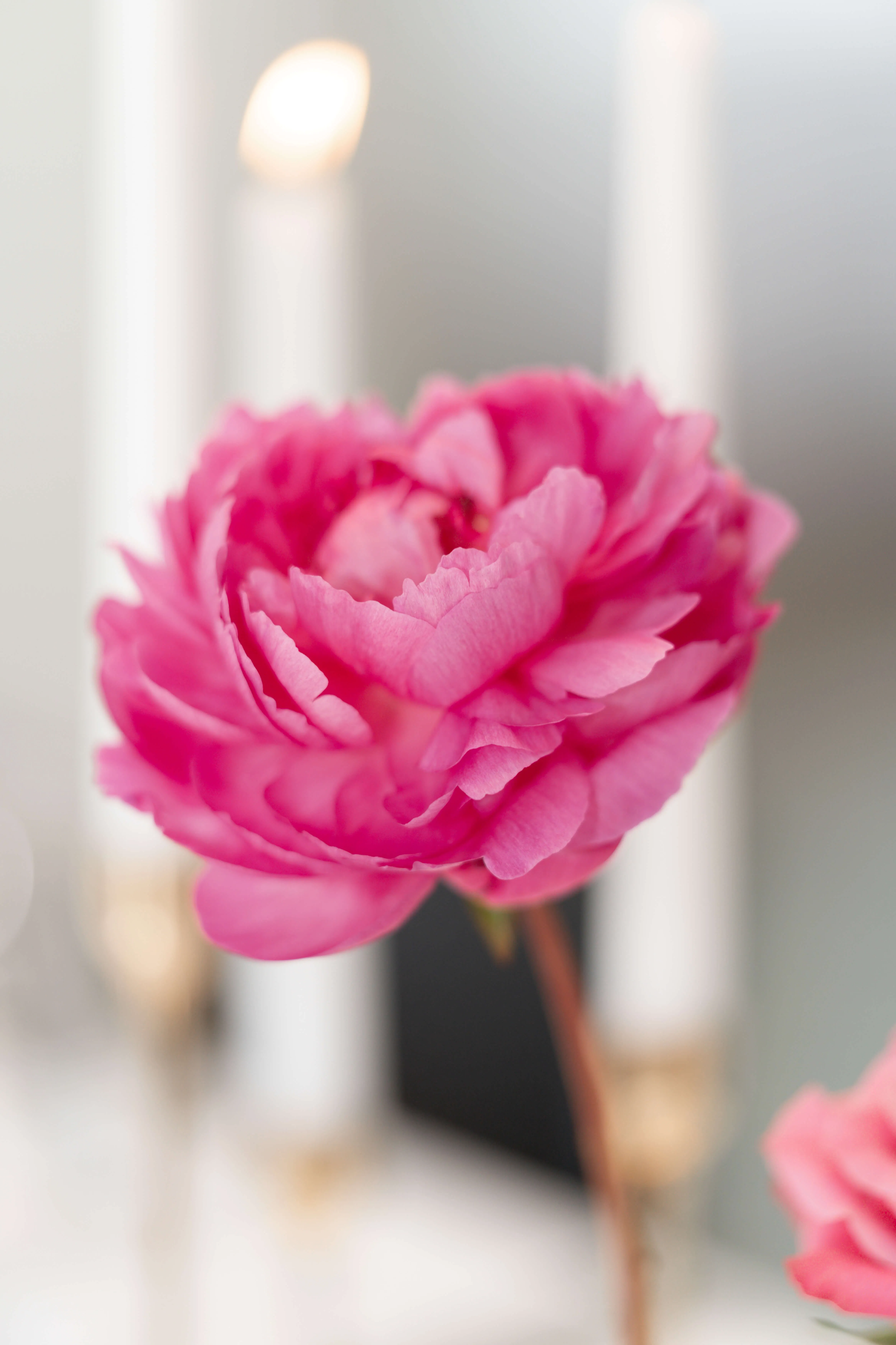 Rosa Blüte als Detail der Hochzeitsdekoration