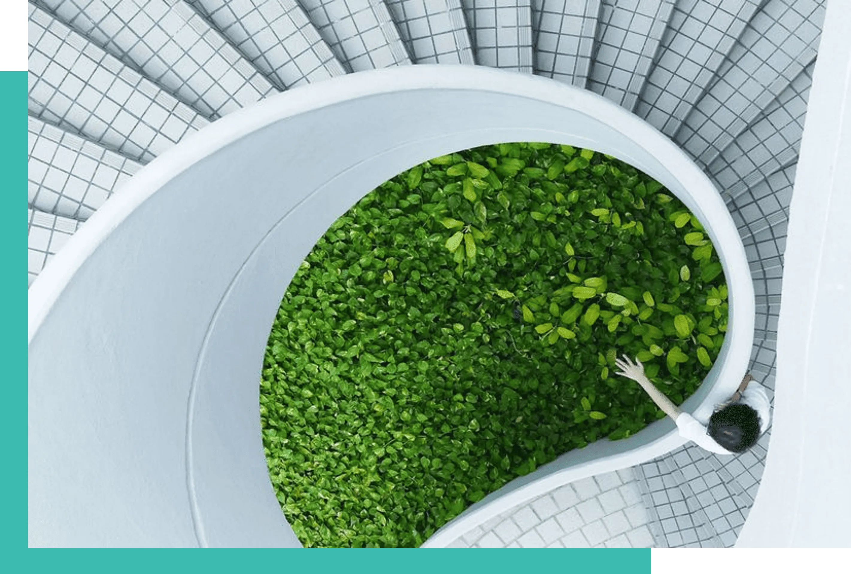 Top view of a white spiral staircase surrounding a lush green plant bed with a person reaching towards the plants.