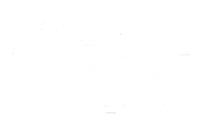 Logo featuring a stylized leaping fish over the text 'New Town Marina'.