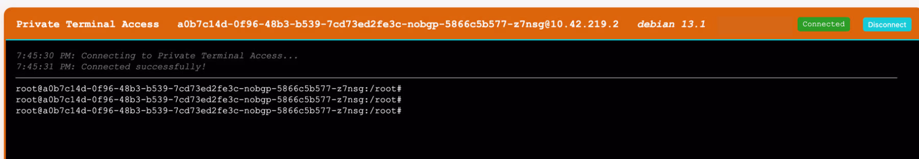 Private TTY Terminal Access Screenshot