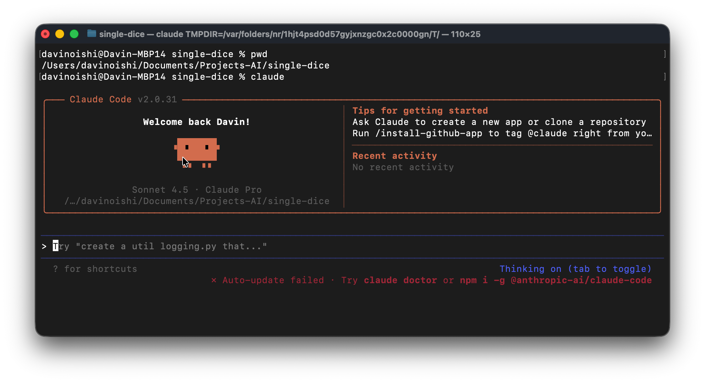 launching claude code screenshot