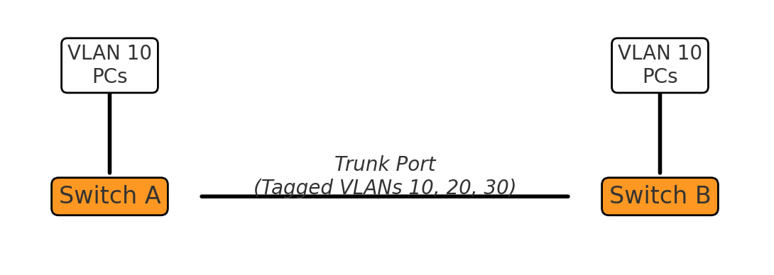VLAN Trunking diagram with two nodes