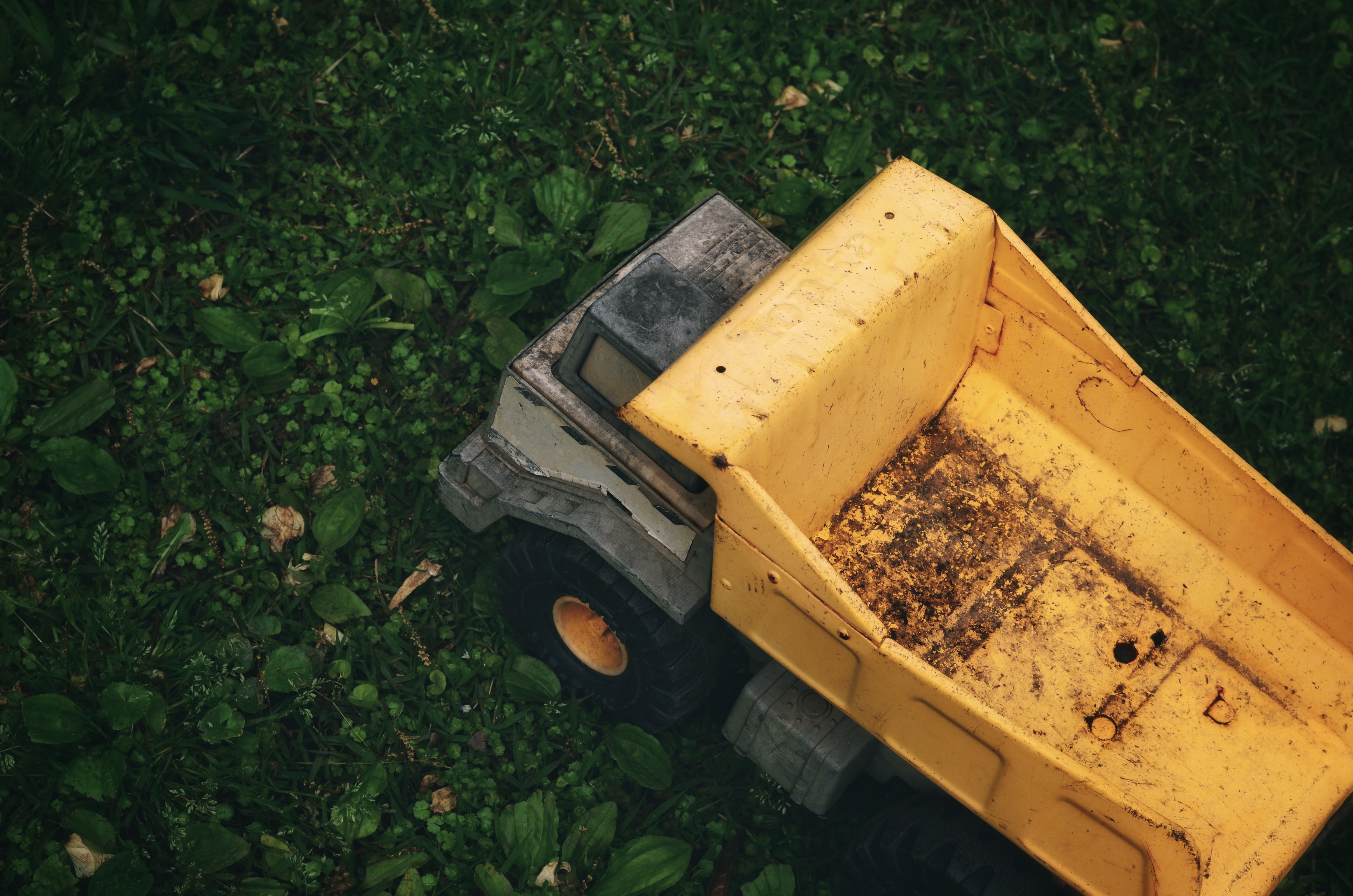 Technician treating a garden