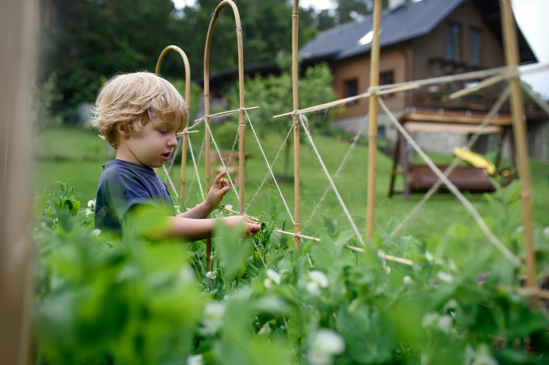 Technician spraying in a backyard