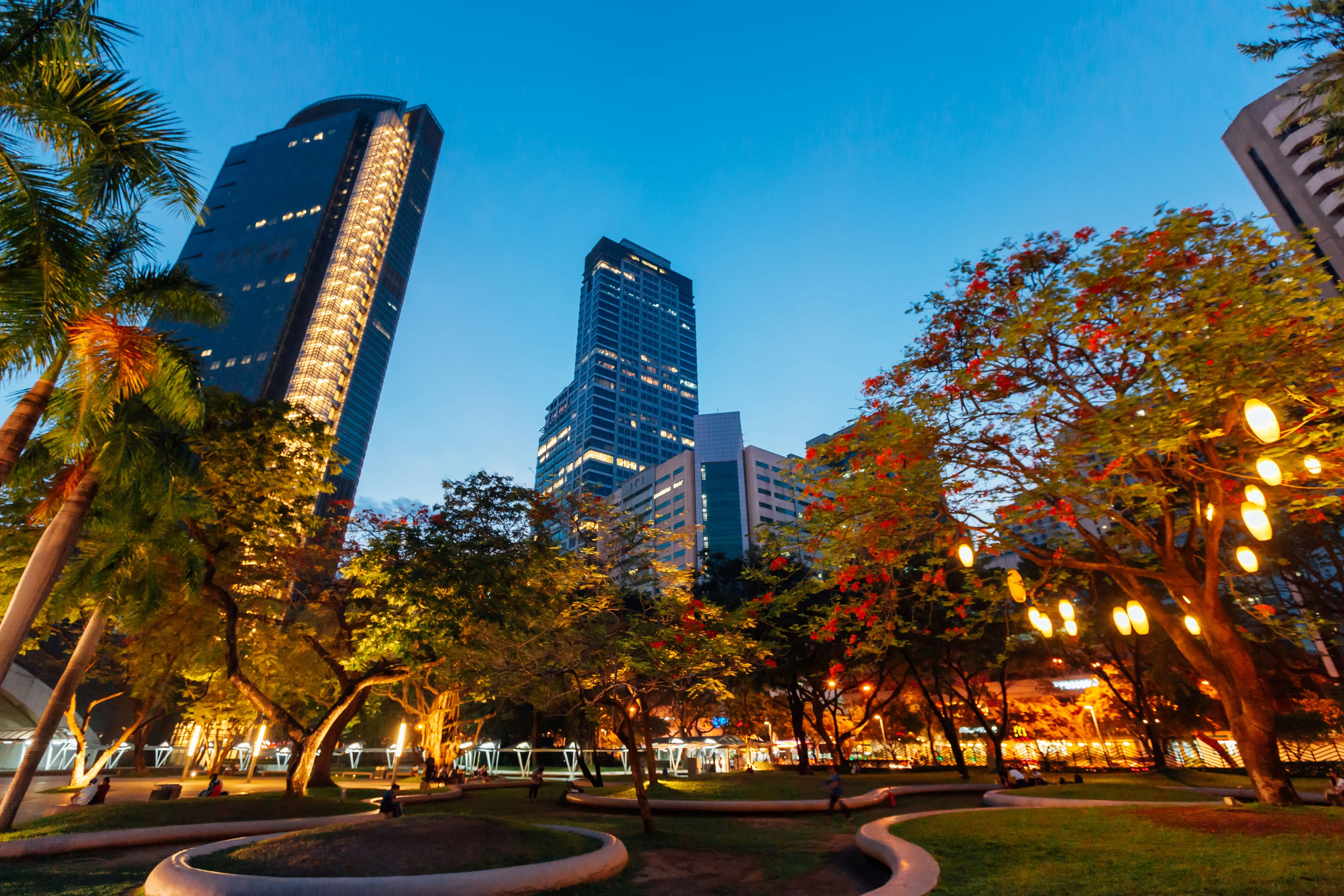 Evening cityscape with illuminated skyscrapers and lush tropical trees