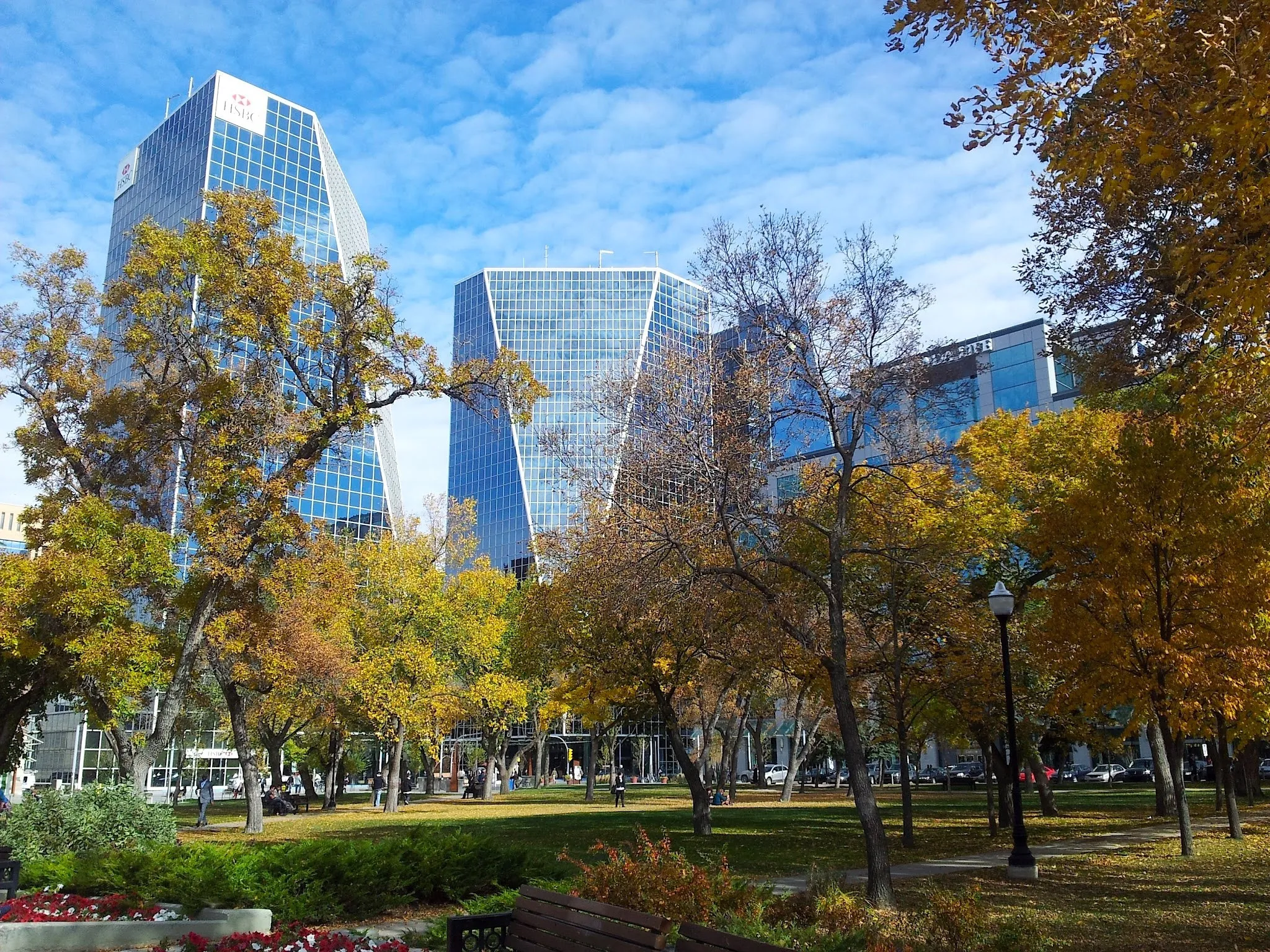 Glass office towers amid autumn trees in urban park setting