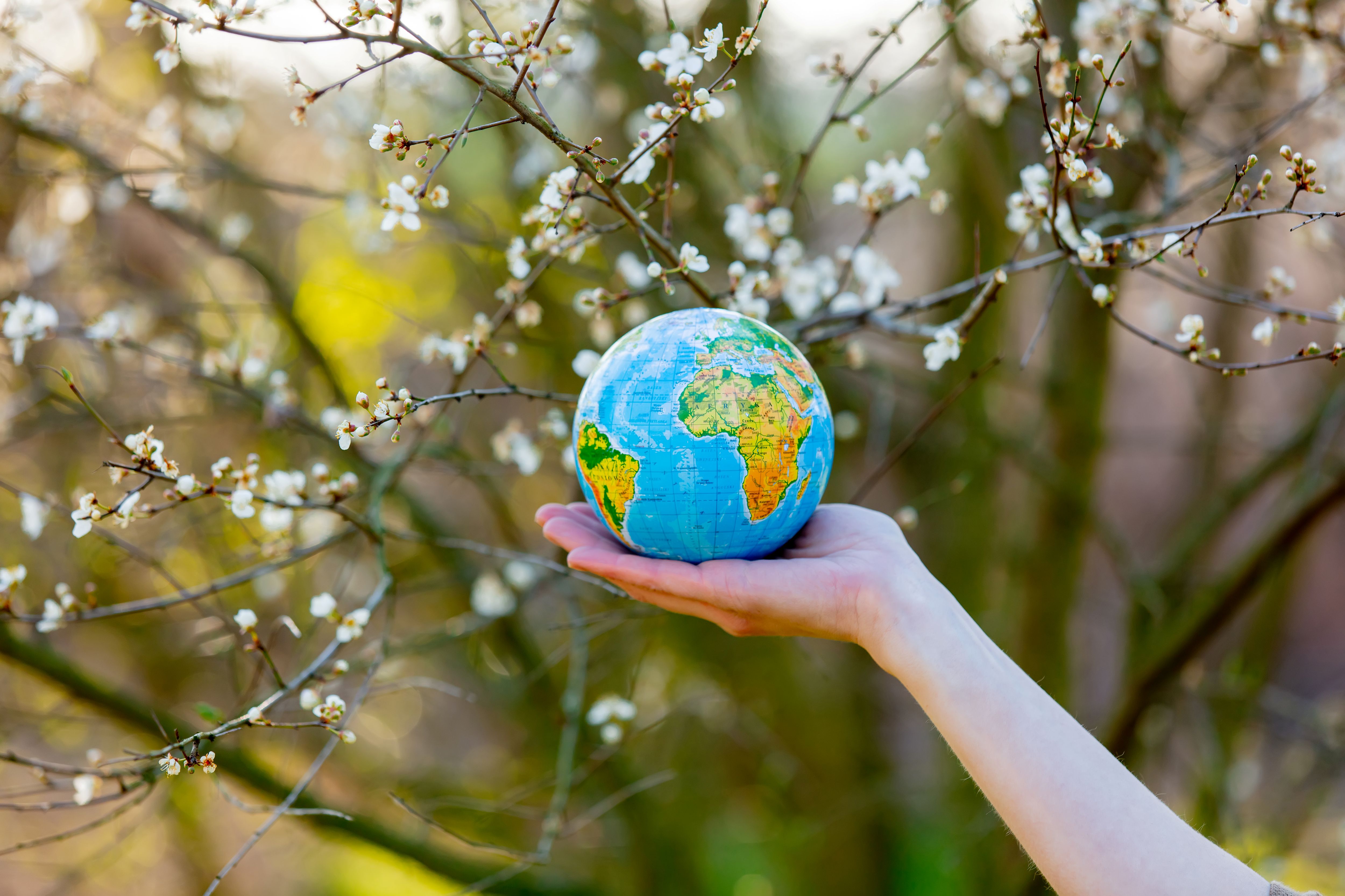 Hand holding Earth globe among flowering branches. Design Works Engineering for sustainable environmental solutions.