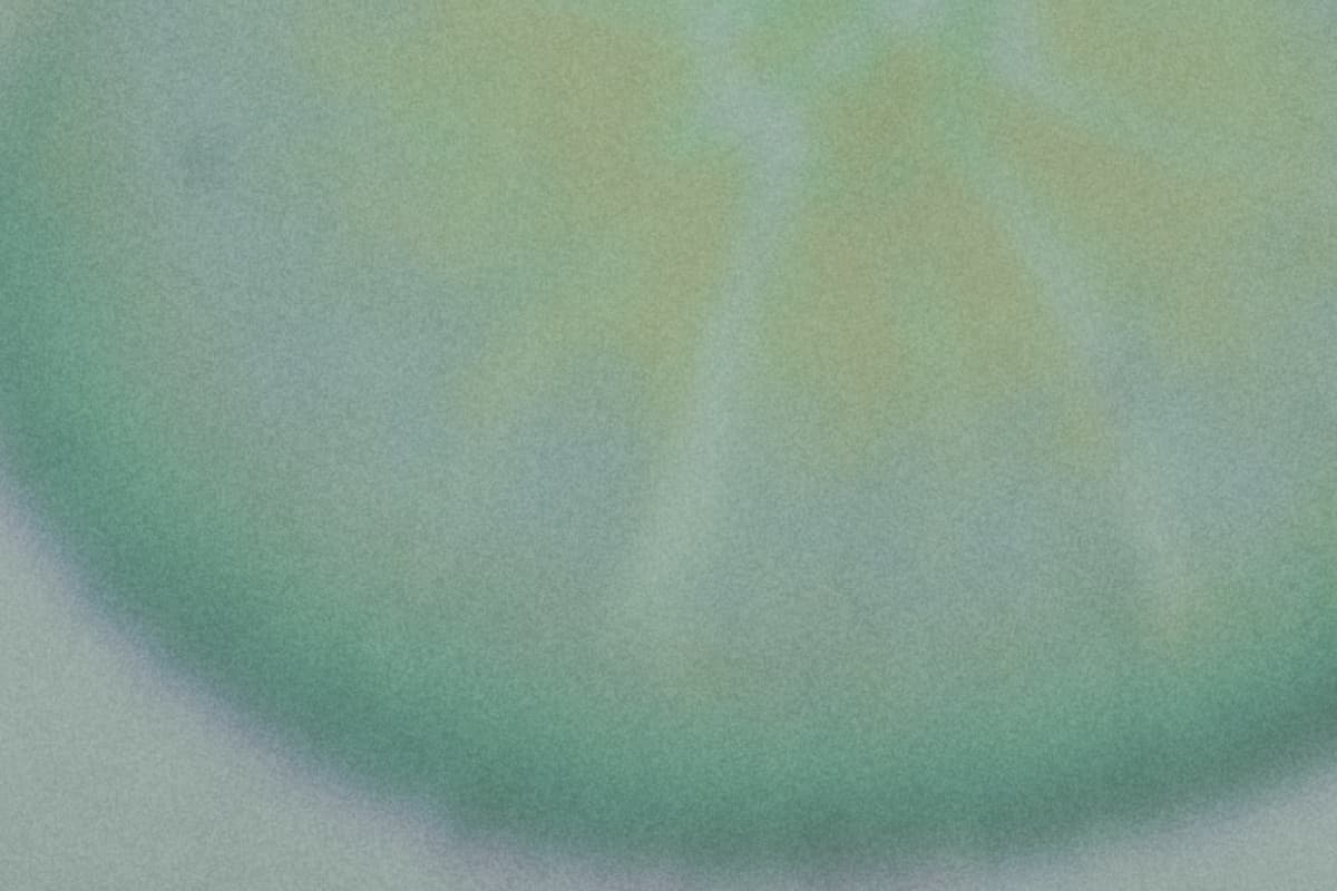 lactobacillus crispatus