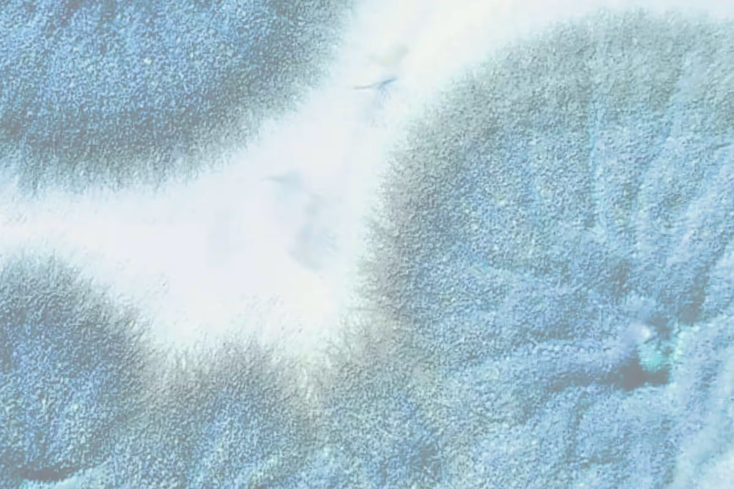 A blue fungi that looks like chlamydia representing if chlamydia can be dormant