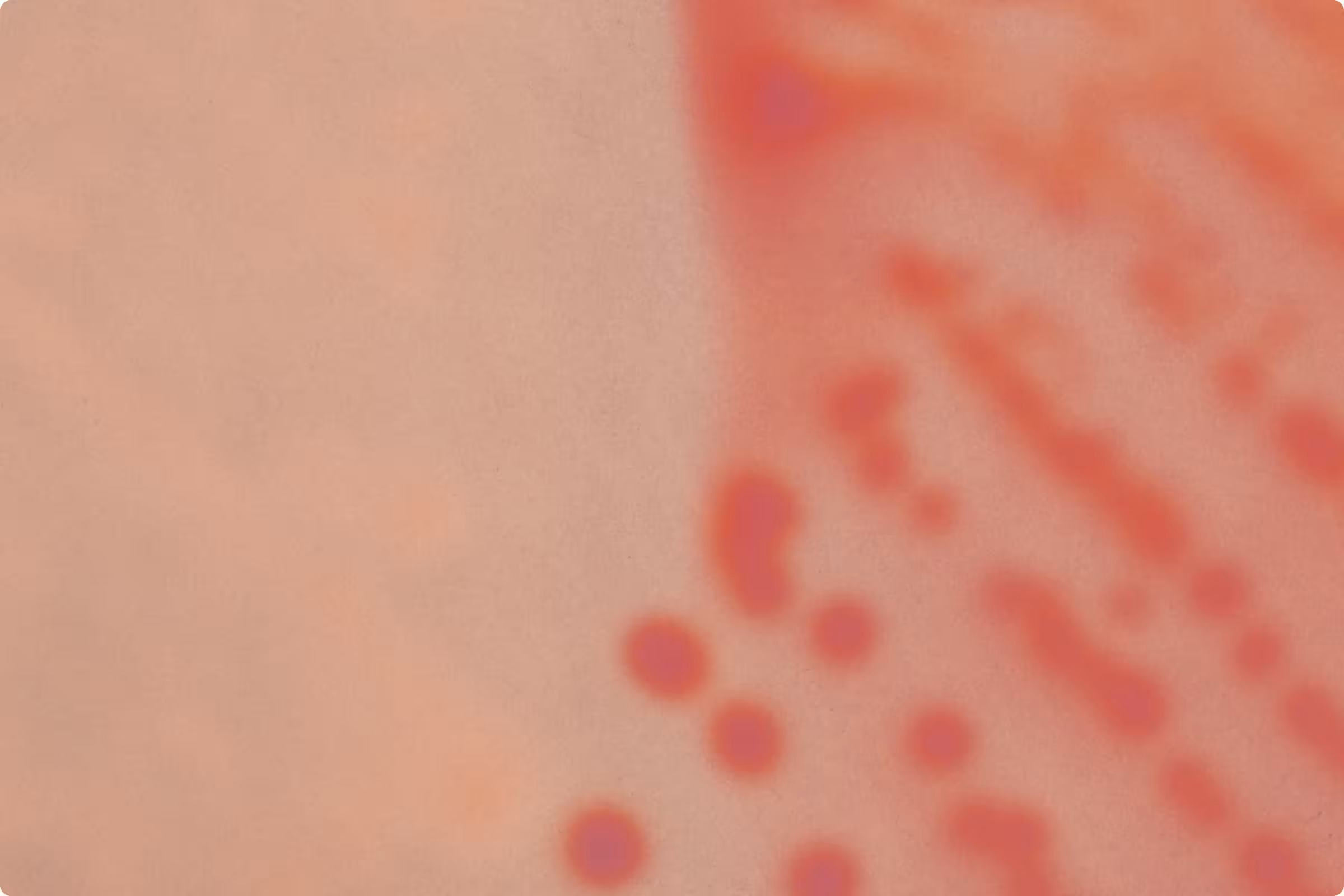 A red yeast representing a yeast infection causing bleeding. 