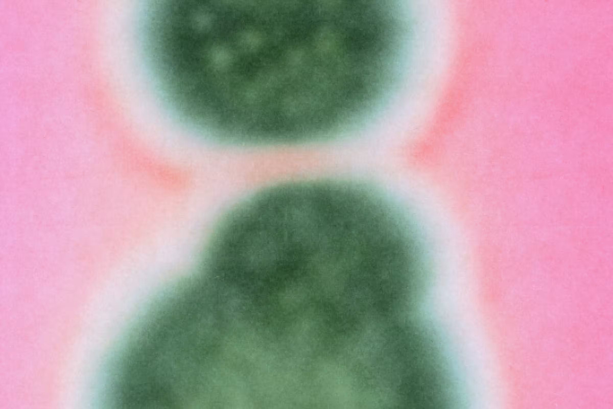 Pink and green fuzzy bacteria representing a caue for an itchy vagina after sex