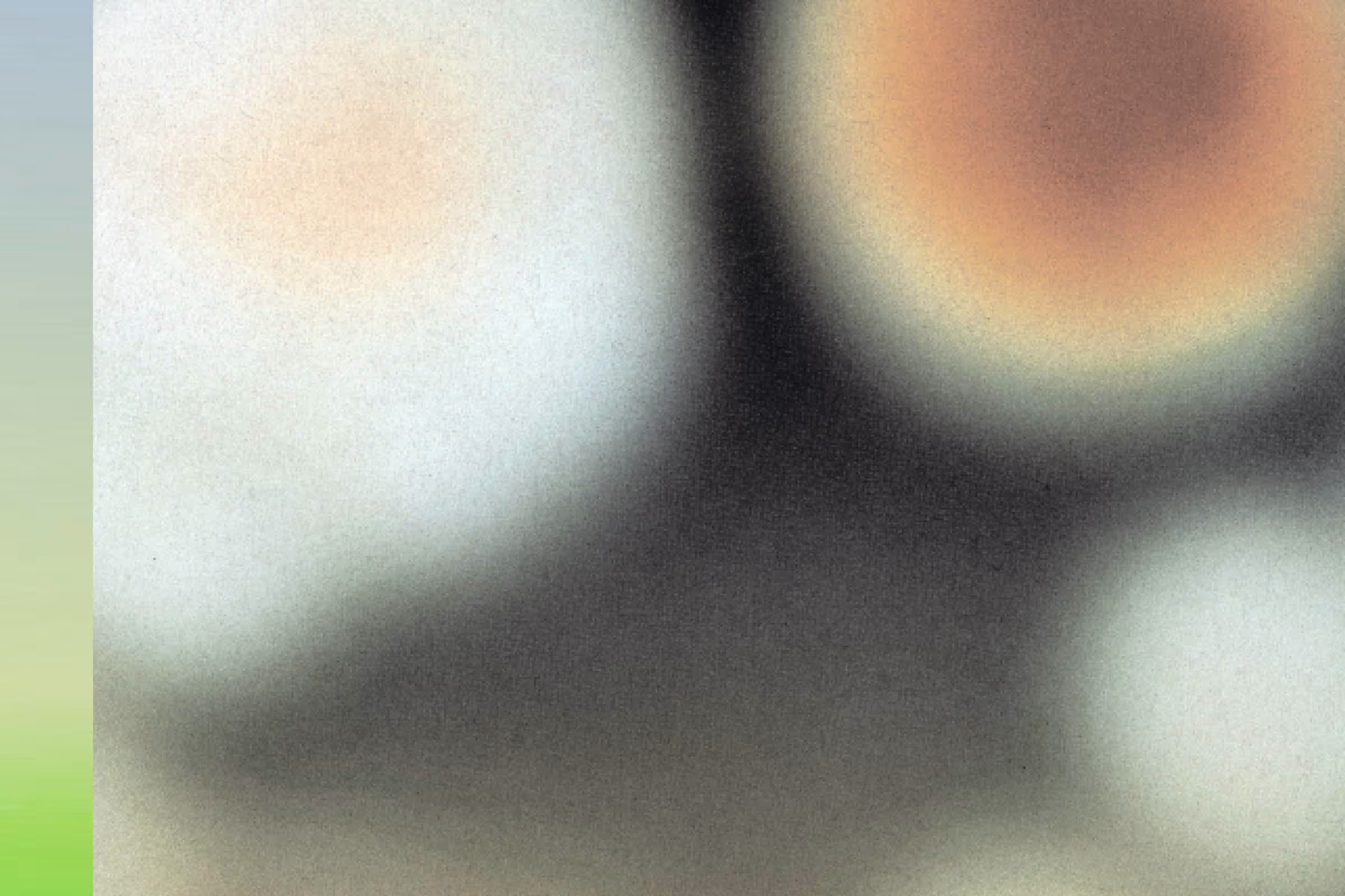 brown bacterial cultures on a petridish 