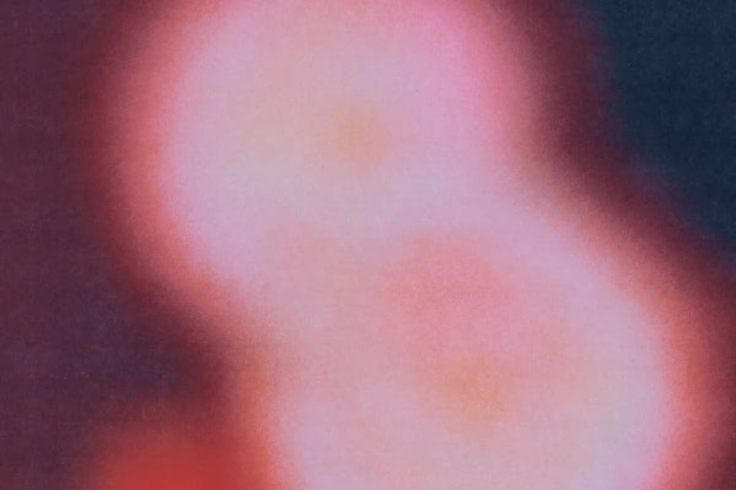 A macro image of candida - a bacteria responsible for yeast infection