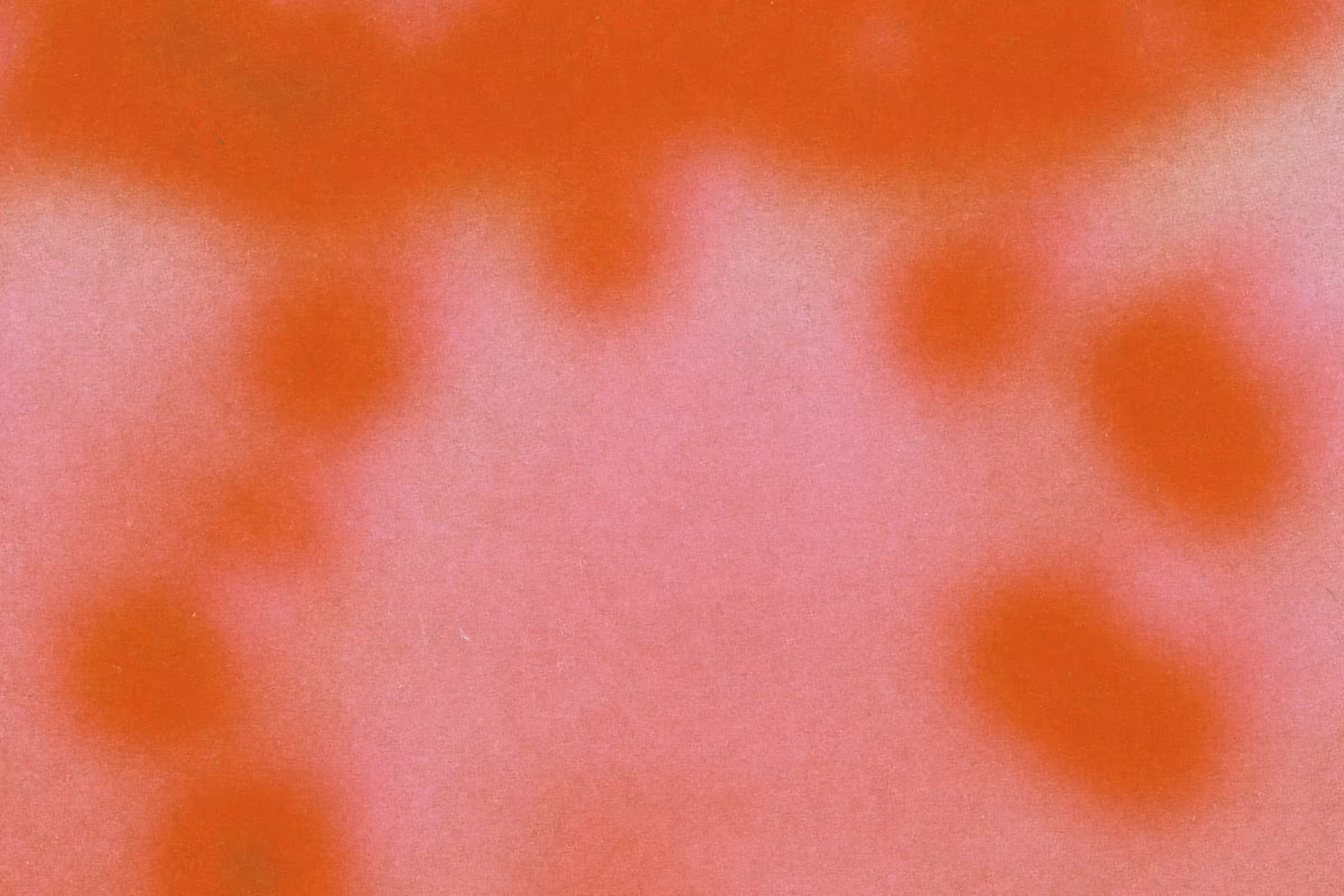 prevotella bacteria up close