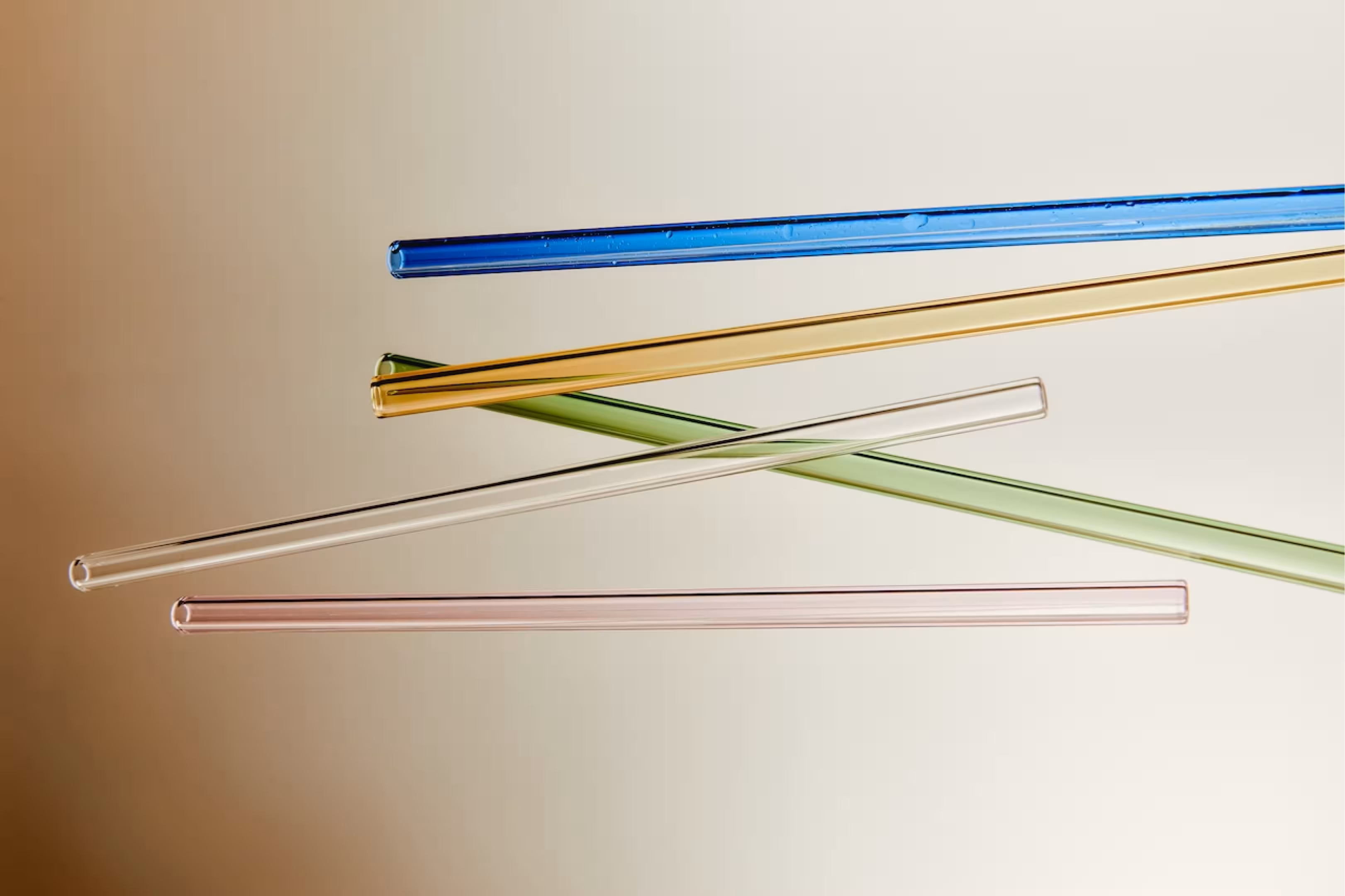Tools used for Lactobacillus gasseri