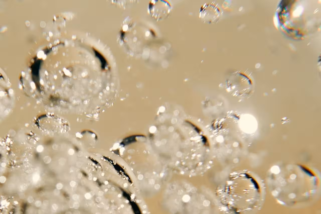 yeast infection vs uti
