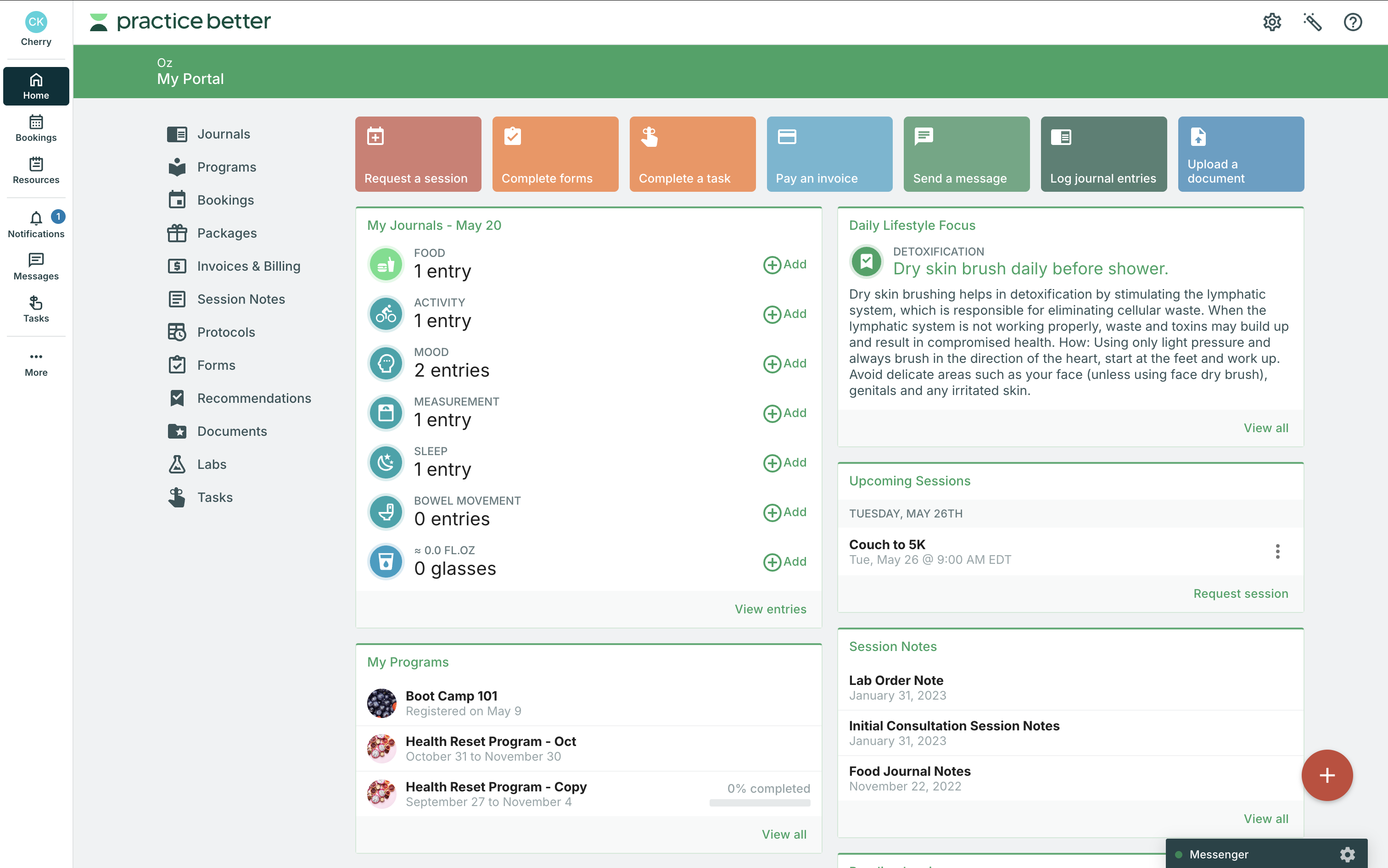 A screenshot showing the home page of the client side of the Practice Better client portal. Complete with Journal entries, daily focuses, and a variety of actions clients can take to engage with their providers.