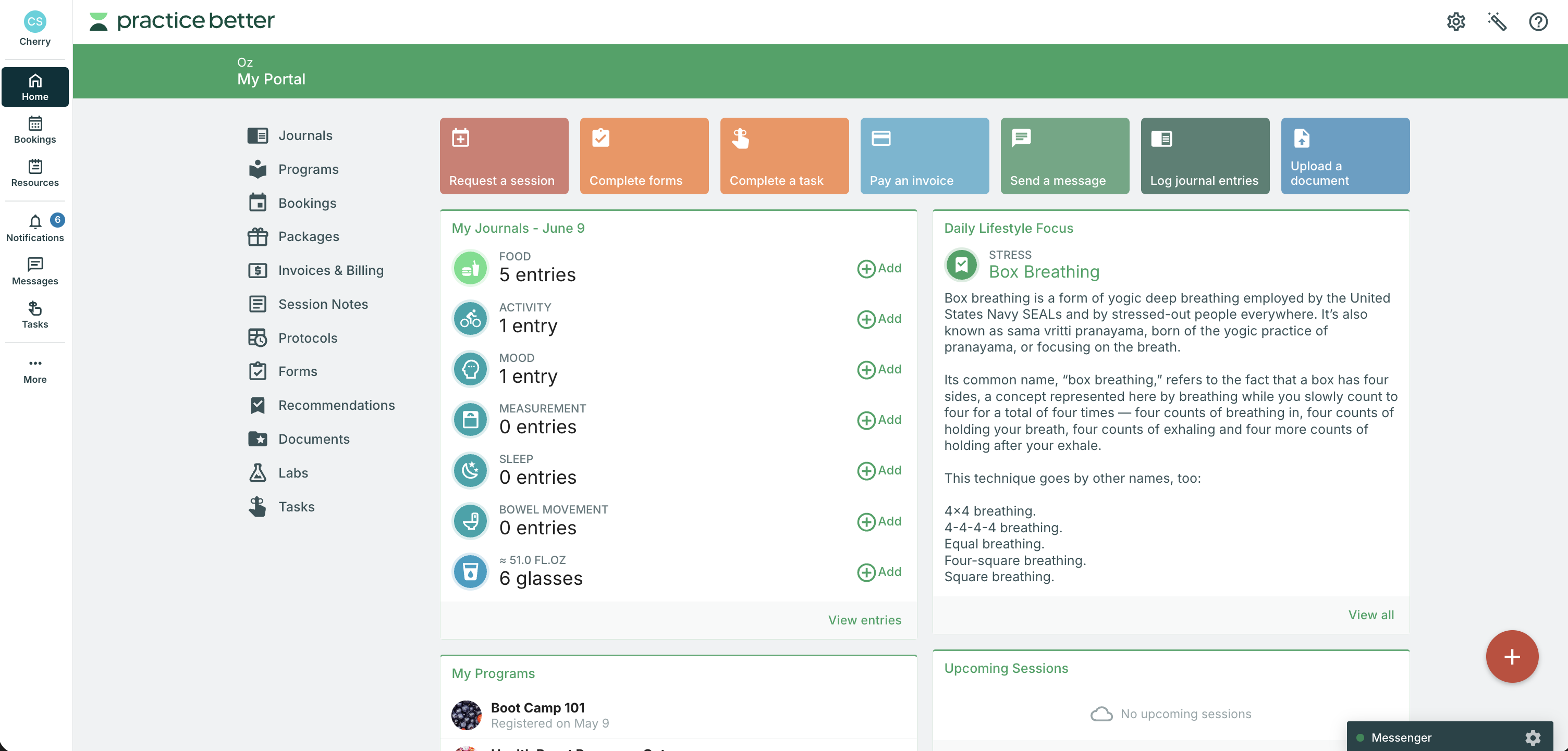 A screenshot of the Practice Better Client Portal main interface.