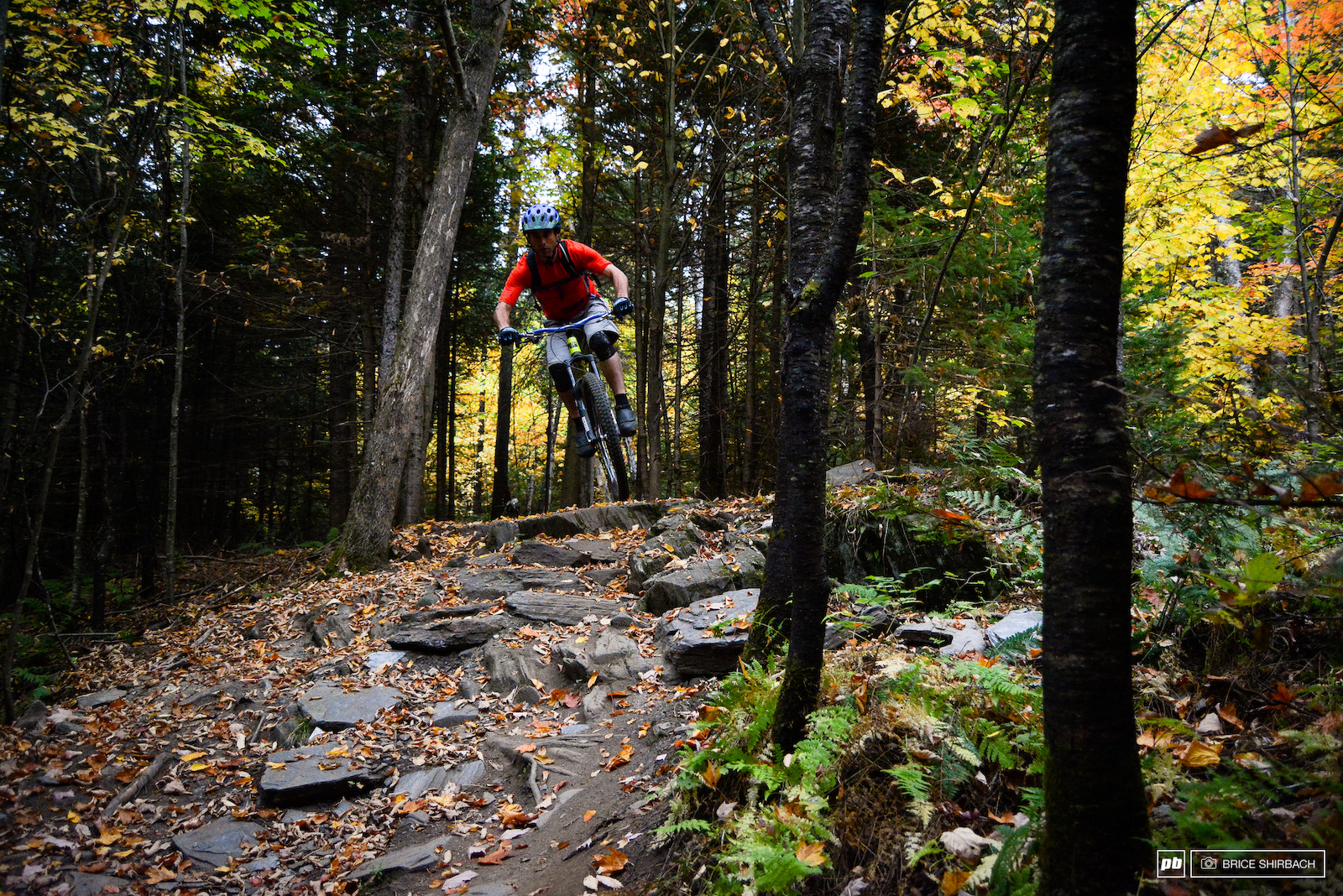 The best town ever? East Burke, VT is surely in the running. Get yourself to the Kingdom Trails and sample the goods!
