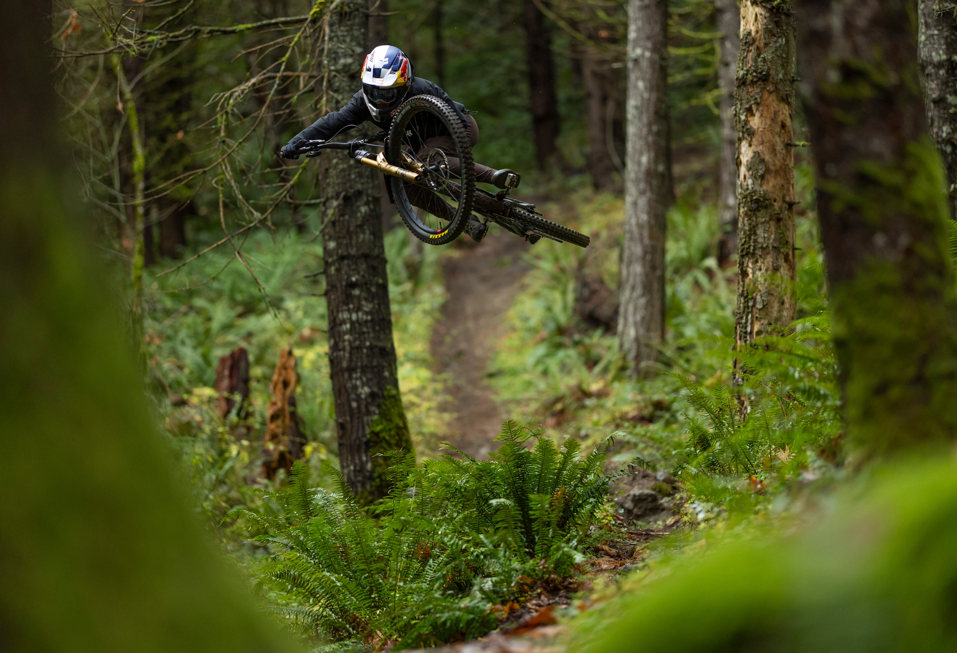  The Banana Peel Trail - The Send It Daily - 391