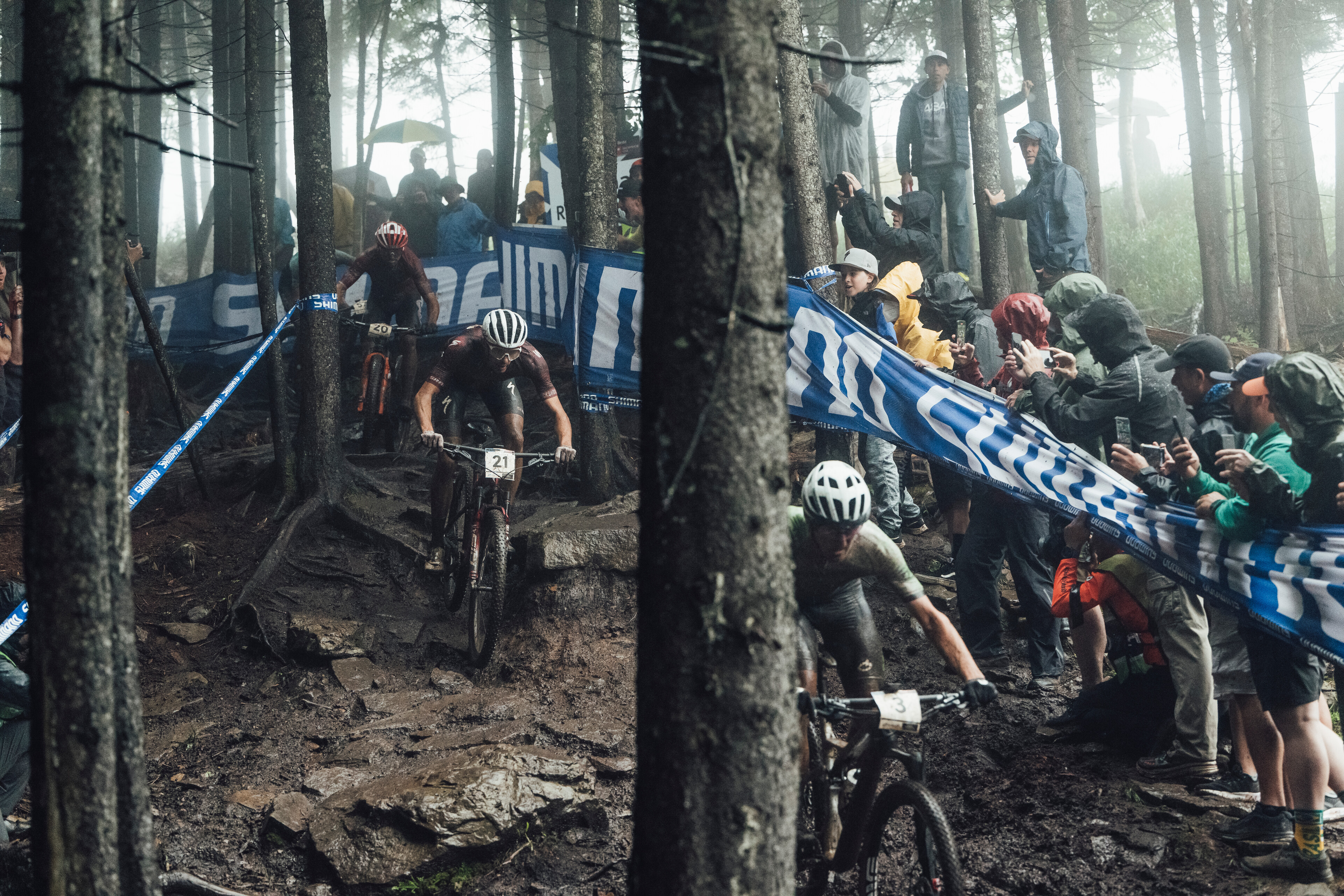 Golden Hour - The Send It Daily - 433