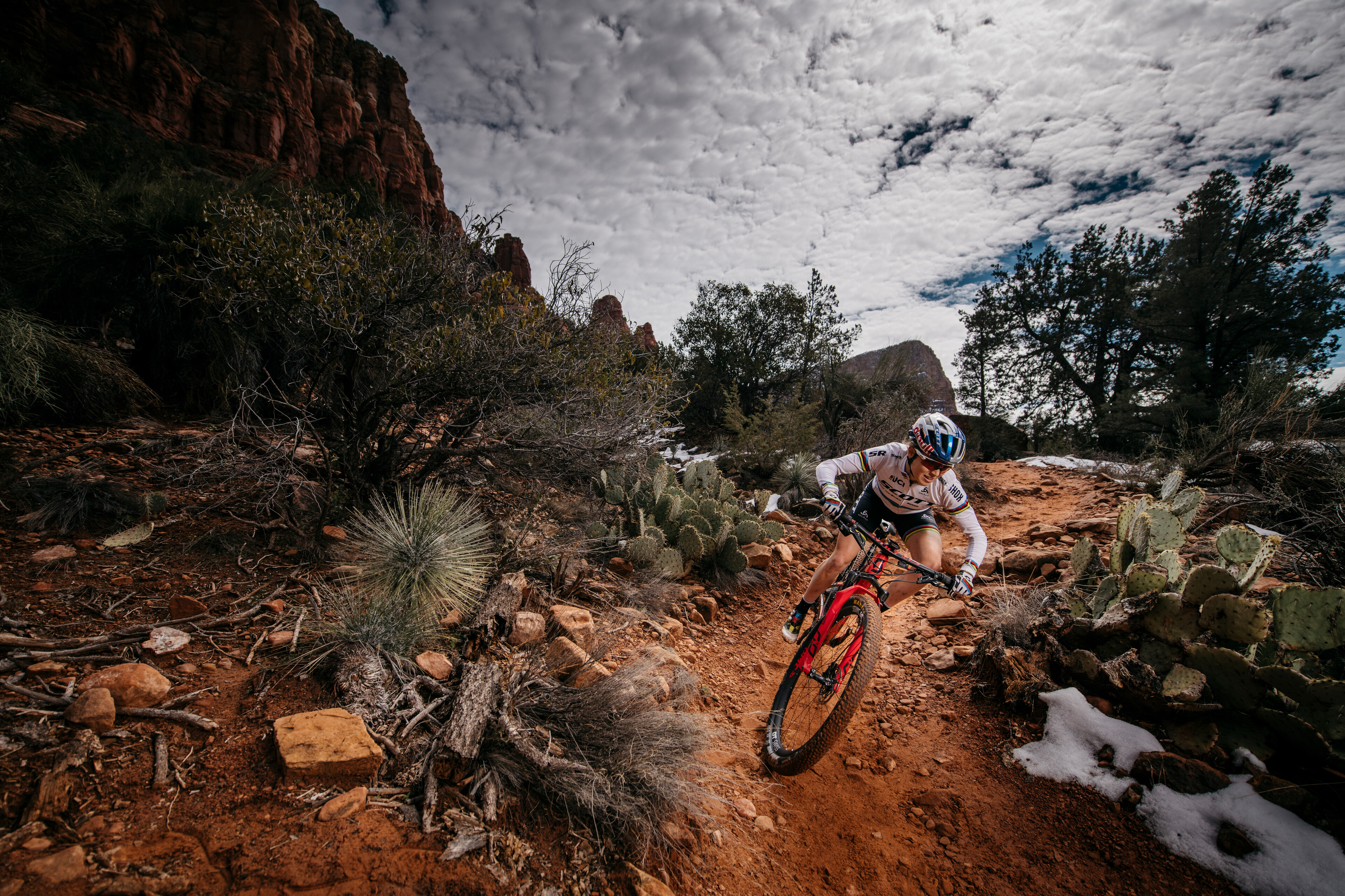 Rossignol's New Collectible - The Send It Daily - 440