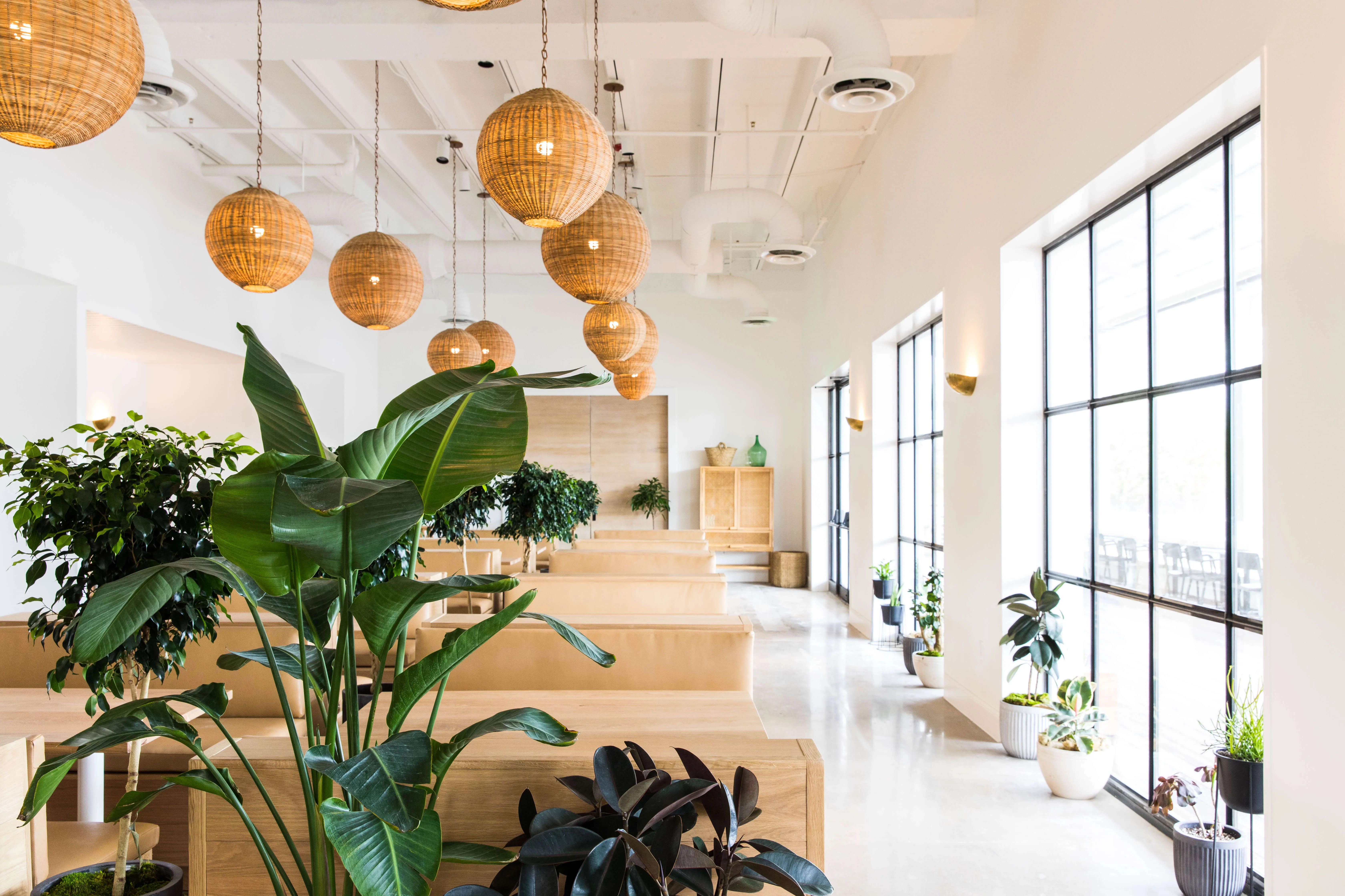 Custom designed modern commercial dining area with netural wooden accents