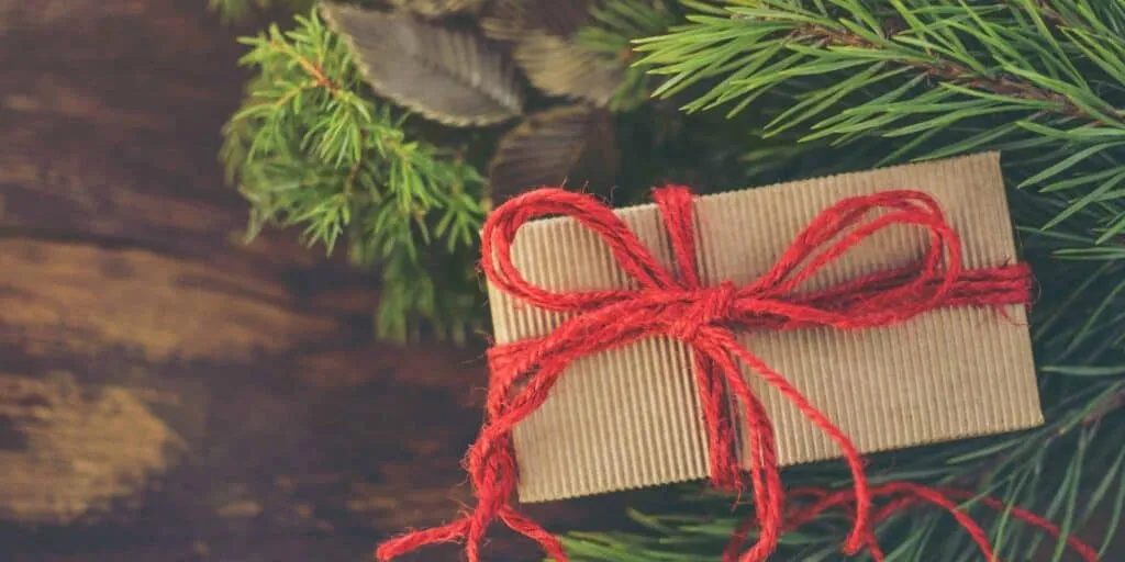 2020 DM Holiday Gift Guide (3)