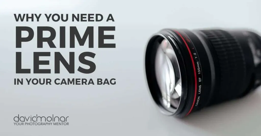 Why You Need a Prime Lens in Your Camera Bag