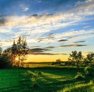 Why Golden Hour Photography Rocks!