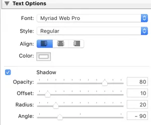 text-based watermark options