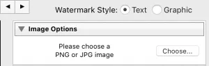 Select 'Graphic' to upload a pre-made logo