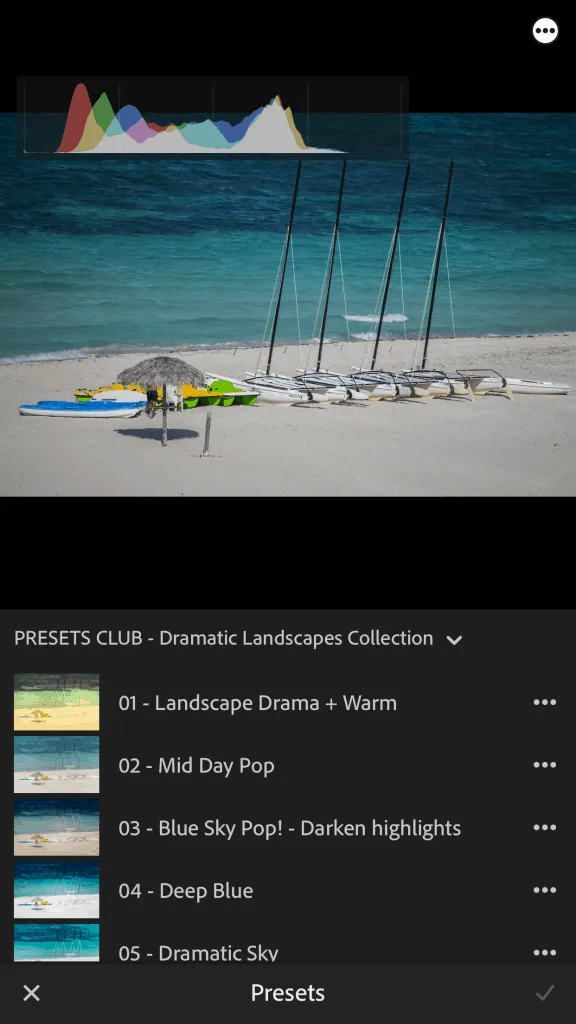 Lightroom Mobile presets