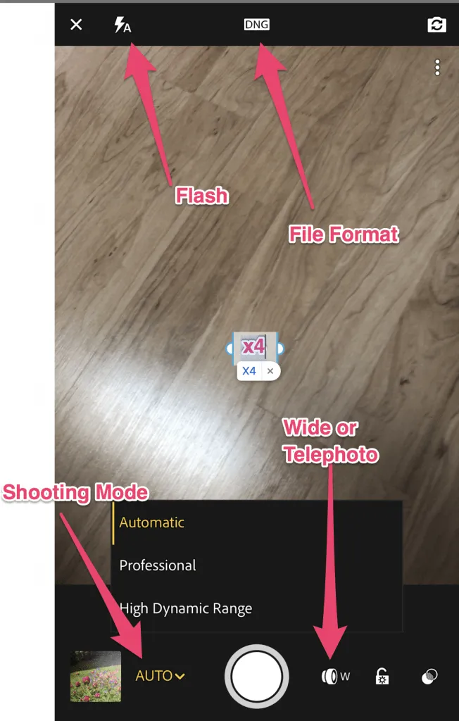 Camera Options for LIghtroom Mobile