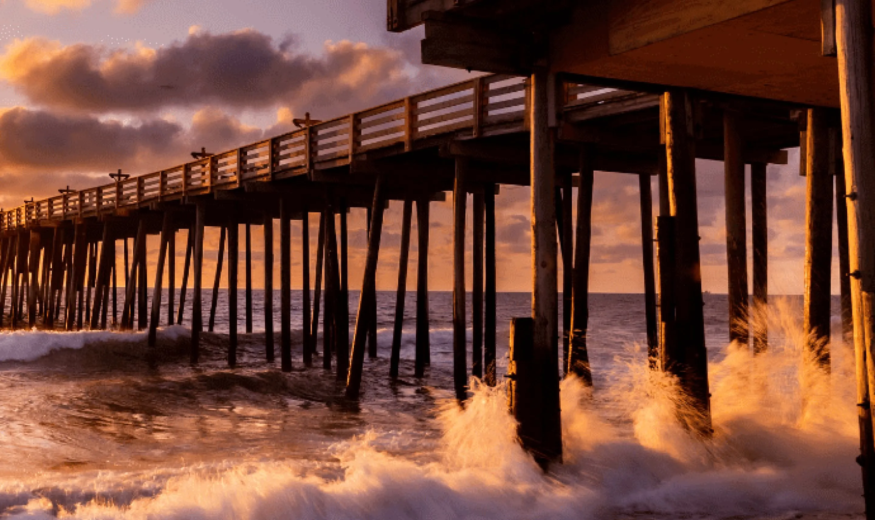 Learning to See: A Photographer's Guide from Zero to Your First Paid Gigs