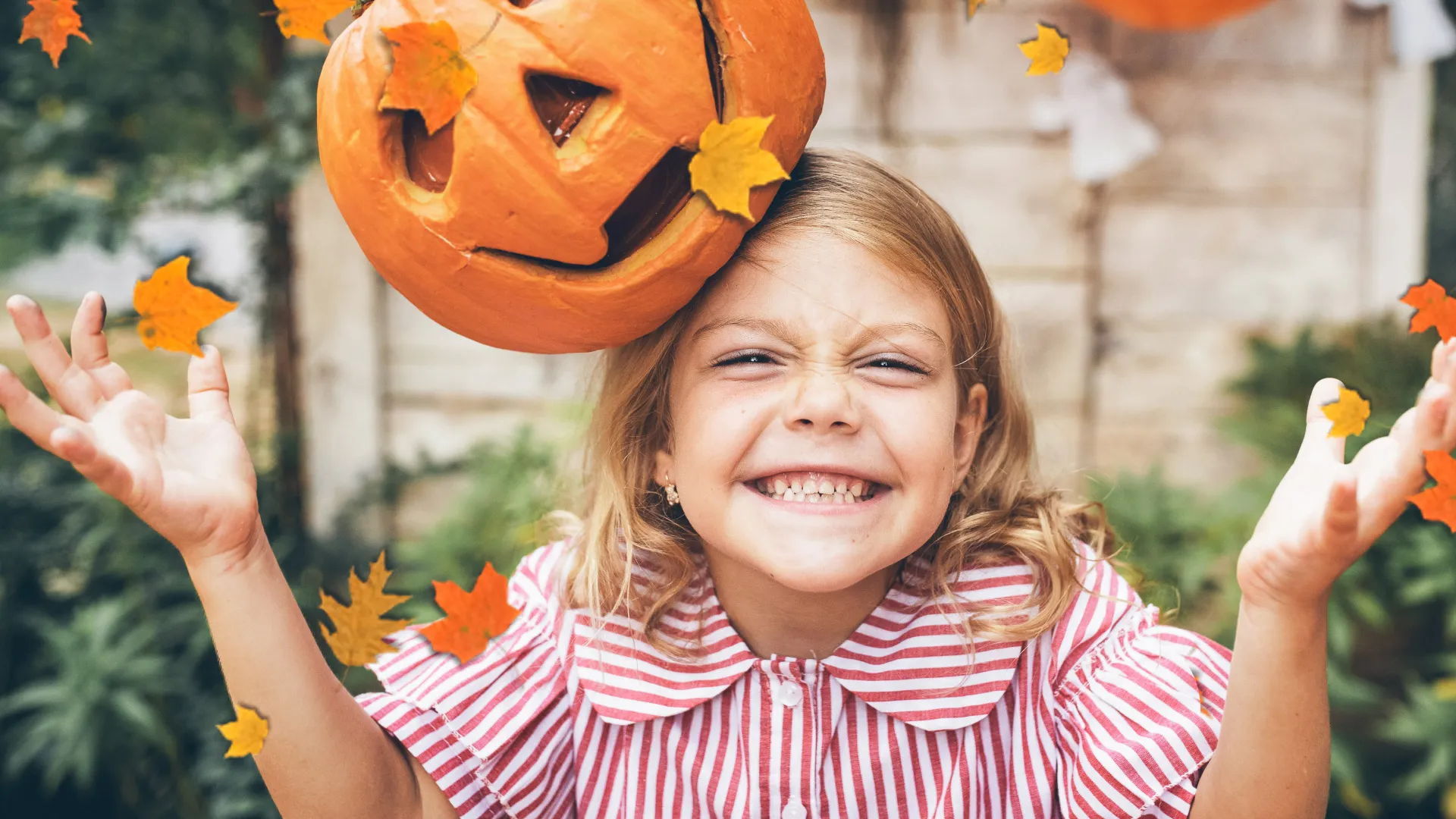 Autumn Leaves Overlays