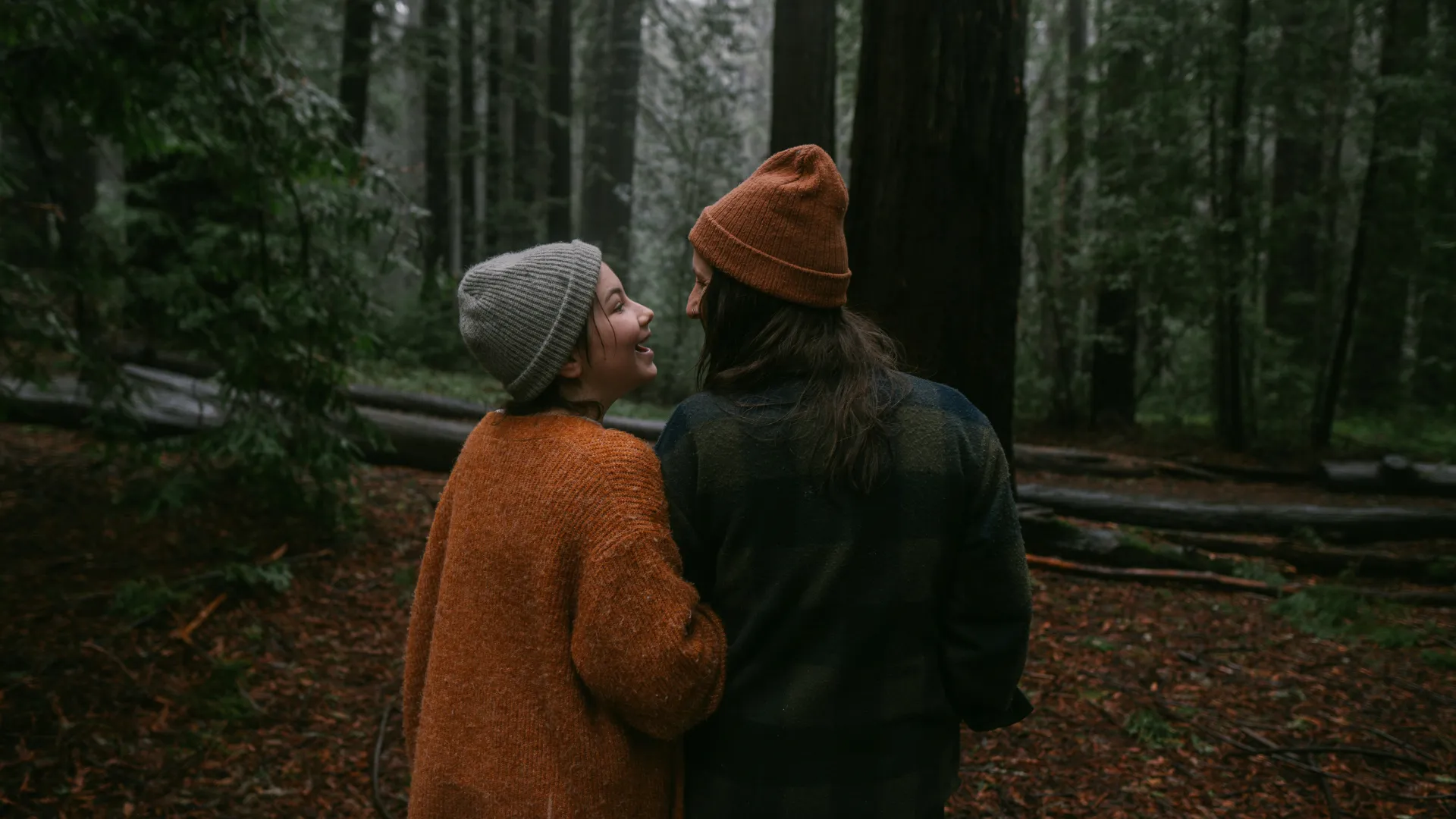 Chill & Moody Collection