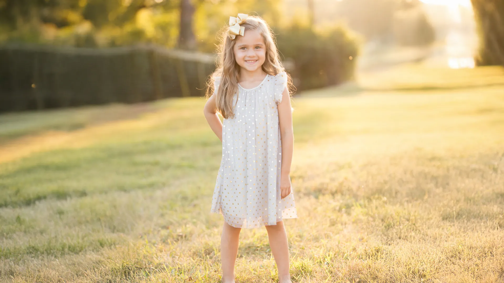 Dreamy Backlit Collection