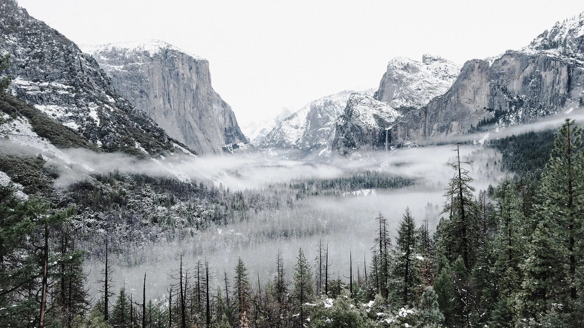 Moody Winter Presets — Private