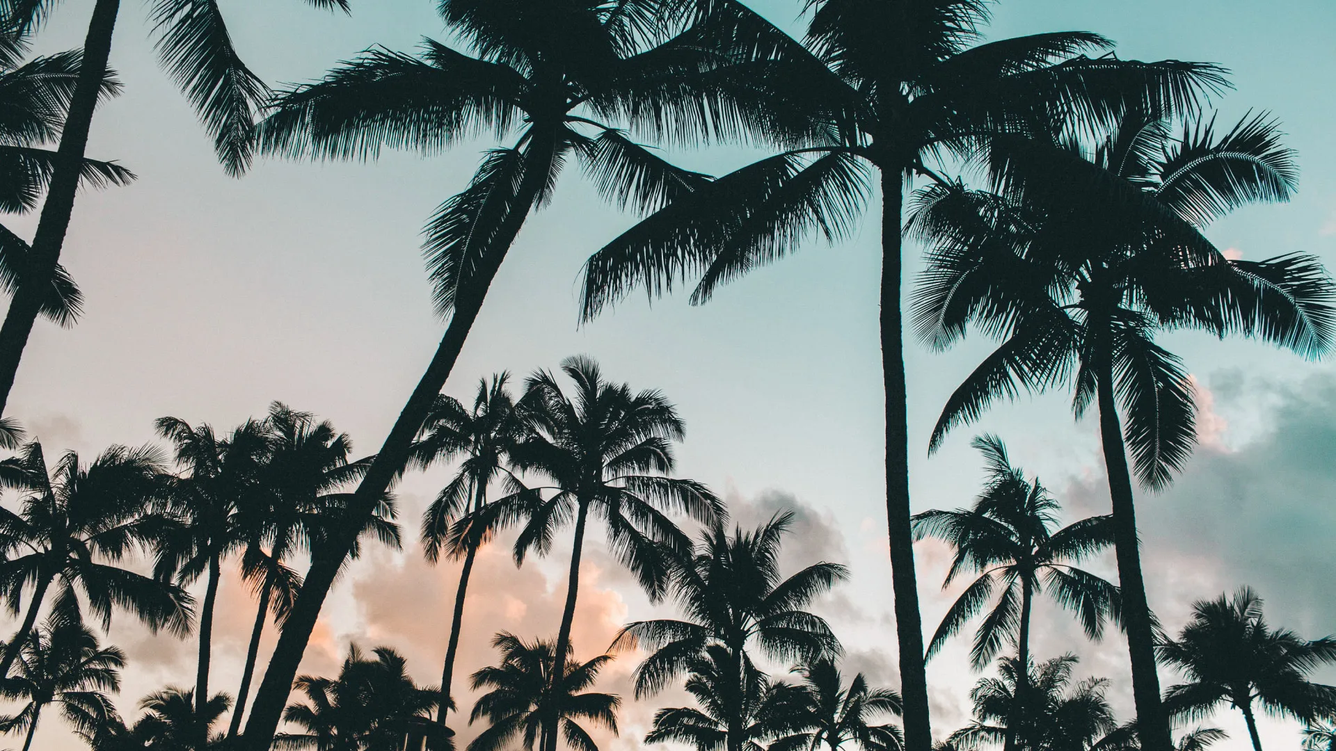 Tropical Landscapes Collection